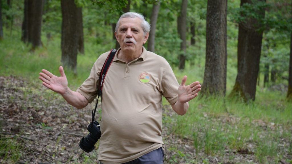 Life4Oak Forests – a Natura 2000 tölgyerdők biológiai sokféleségének növeléséért – interjú Fidlóczky József projektmenedzserrel