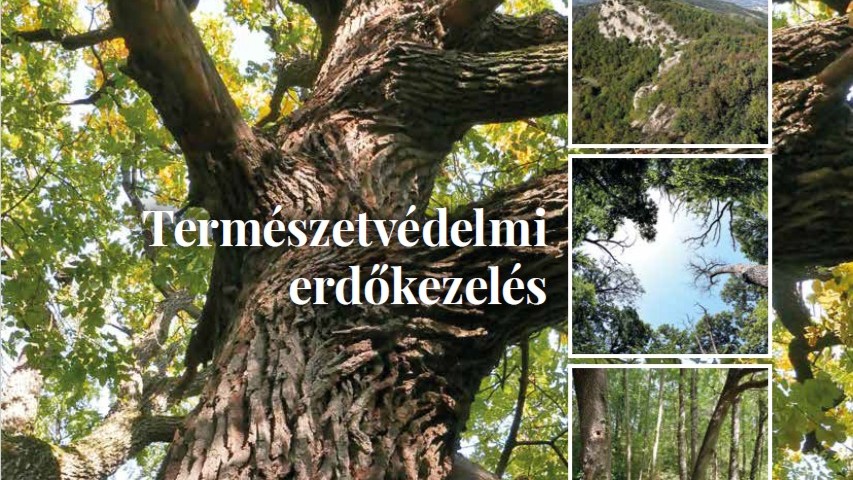 Megjelent a „Természetvédelmi erdőkezelés” című szakmai útmutató)